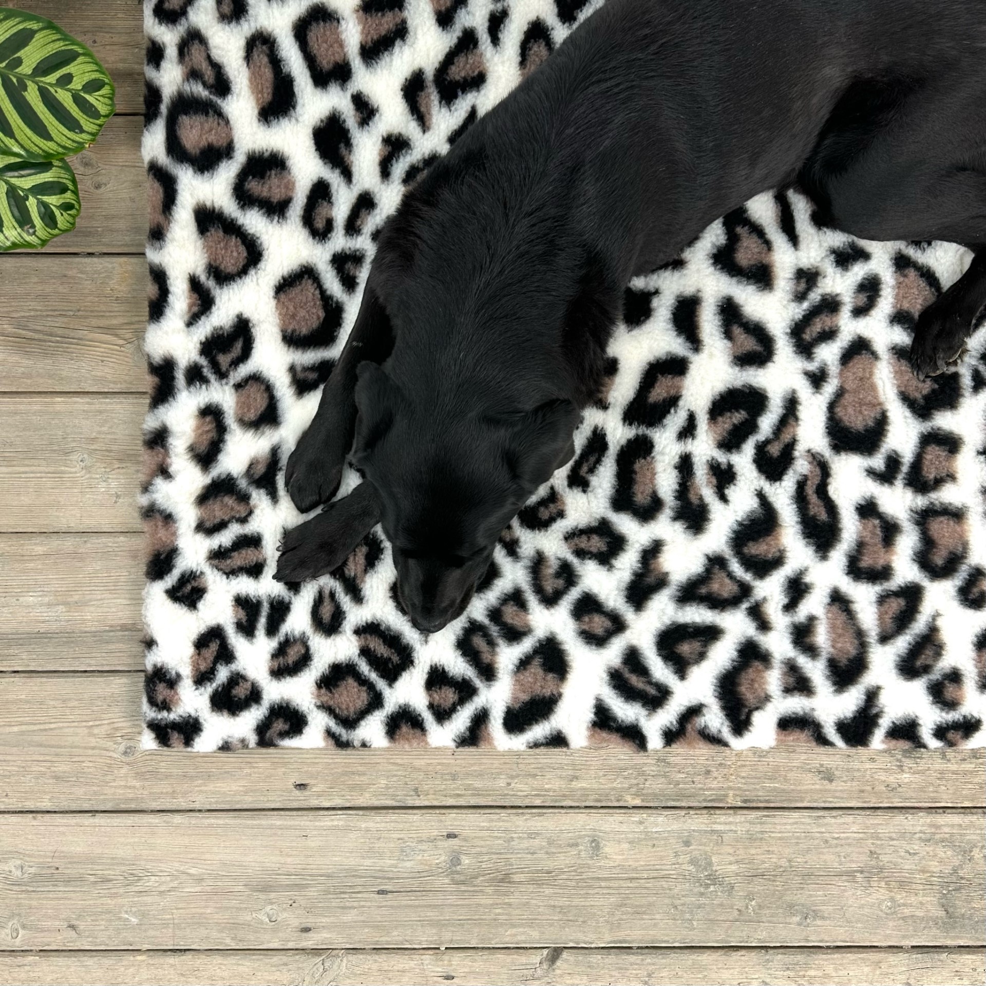 Leopard Print high grade Vet Bedding non-slip back bed fleece for pets